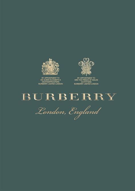 burberry brand guidelines|Burberry policy and procedures.